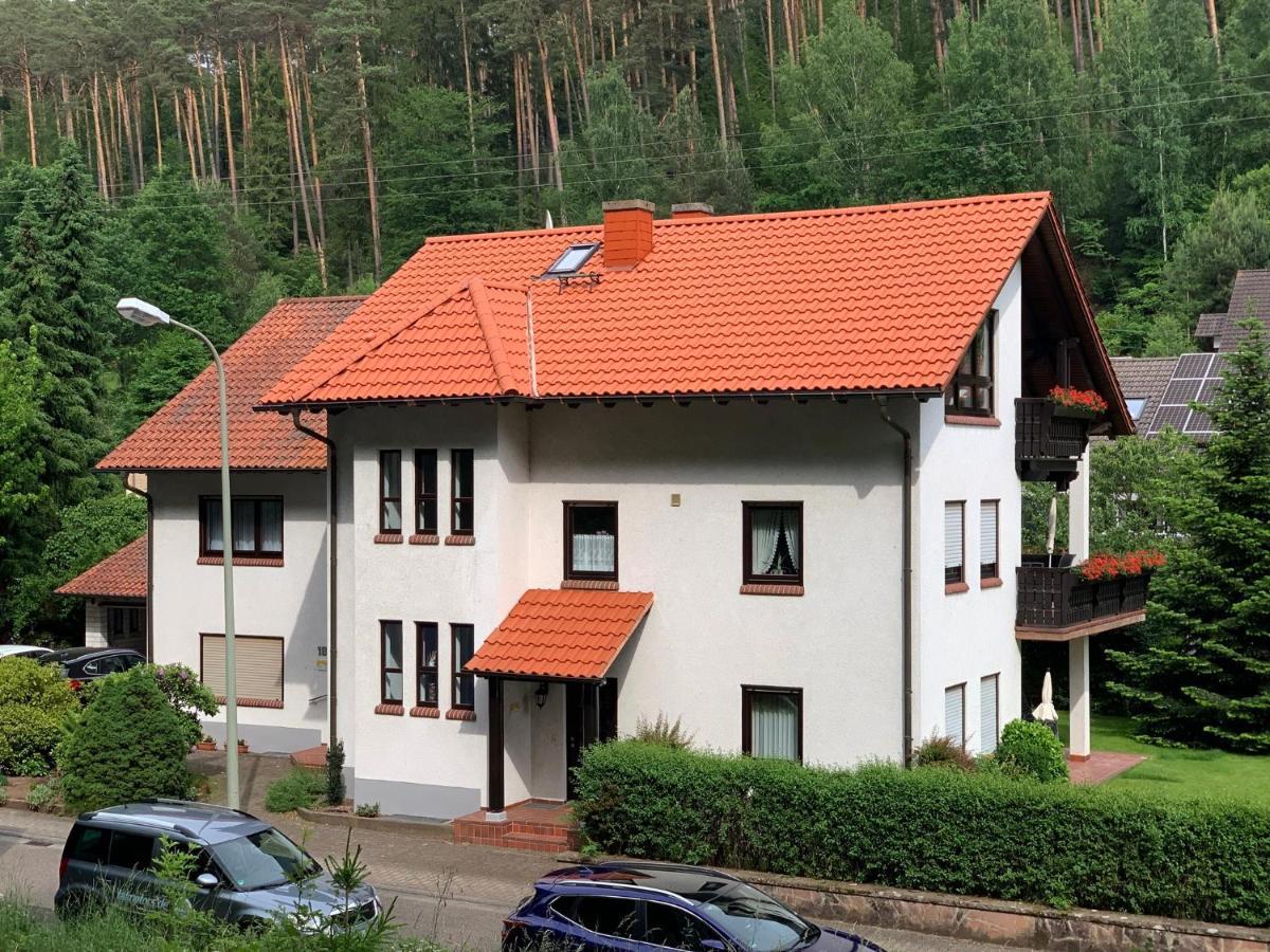 Ferienwohnungen Im Herzen Des Pfaelzerwaldes Elmstein Extérieur photo