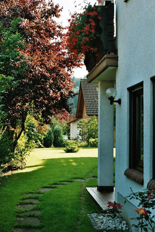 Ferienwohnungen Im Herzen Des Pfaelzerwaldes Elmstein Extérieur photo