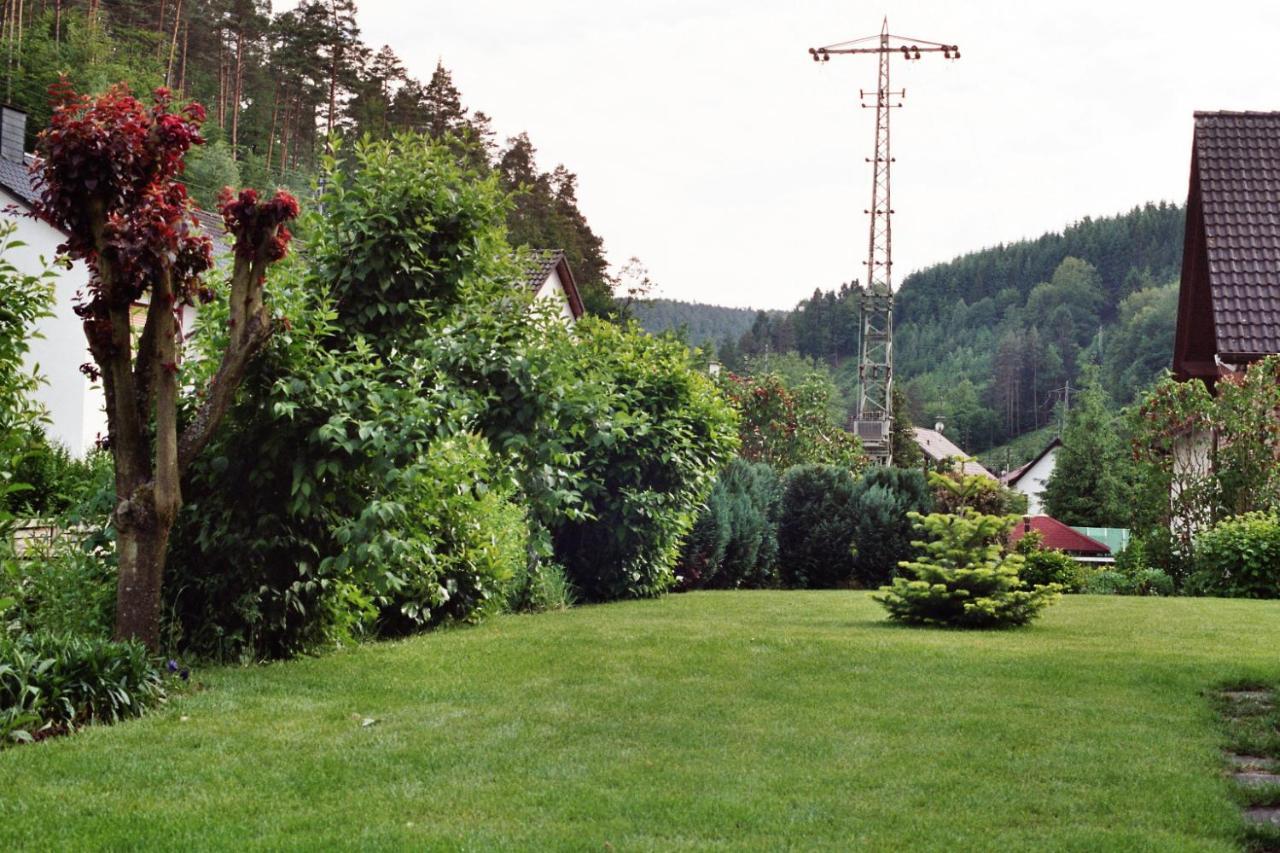 Ferienwohnungen Im Herzen Des Pfaelzerwaldes Elmstein Extérieur photo