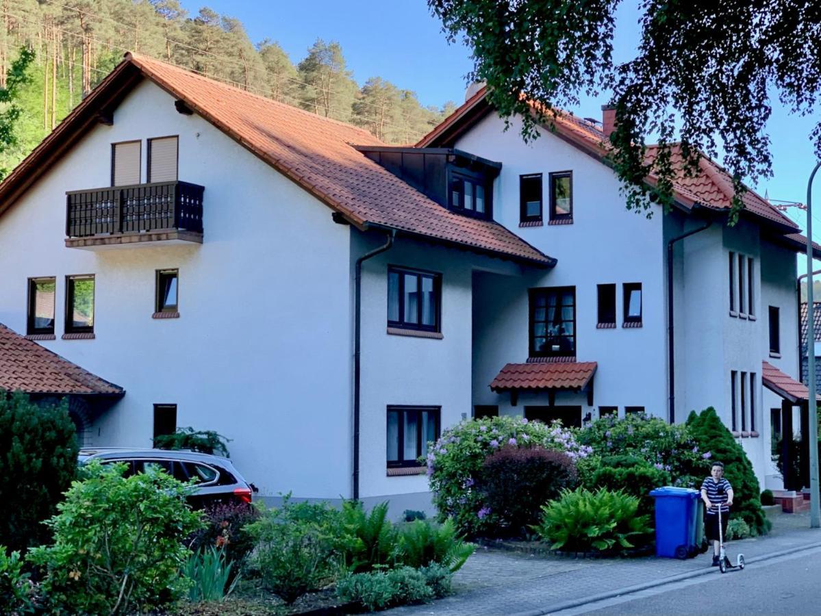 Ferienwohnungen Im Herzen Des Pfaelzerwaldes Elmstein Extérieur photo