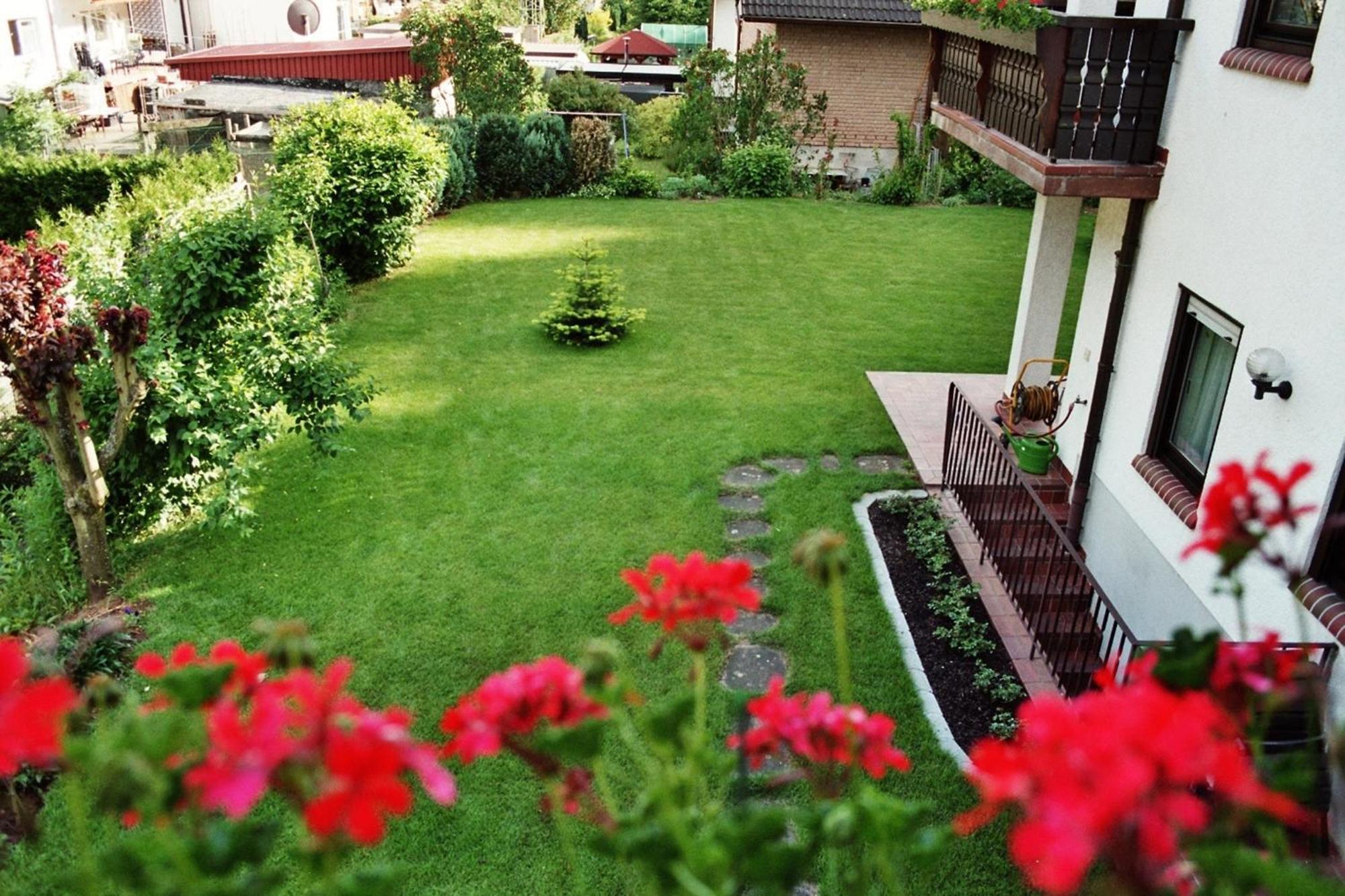 Ferienwohnungen Im Herzen Des Pfaelzerwaldes Elmstein Chambre photo